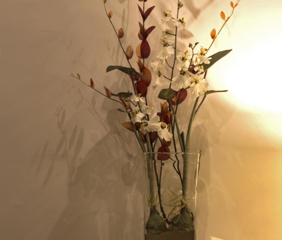Three Cities Apartments Cospicua エクステリア 写真